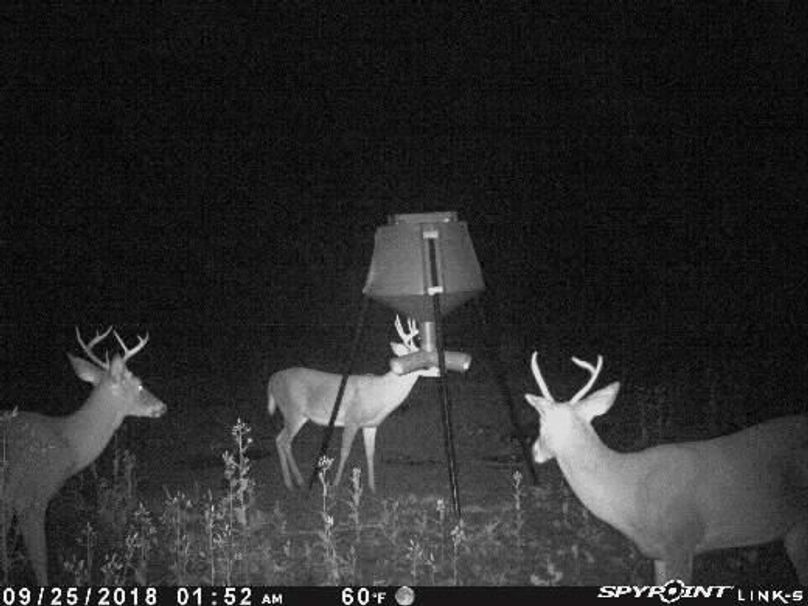 Pict1468 925201840158am3h870