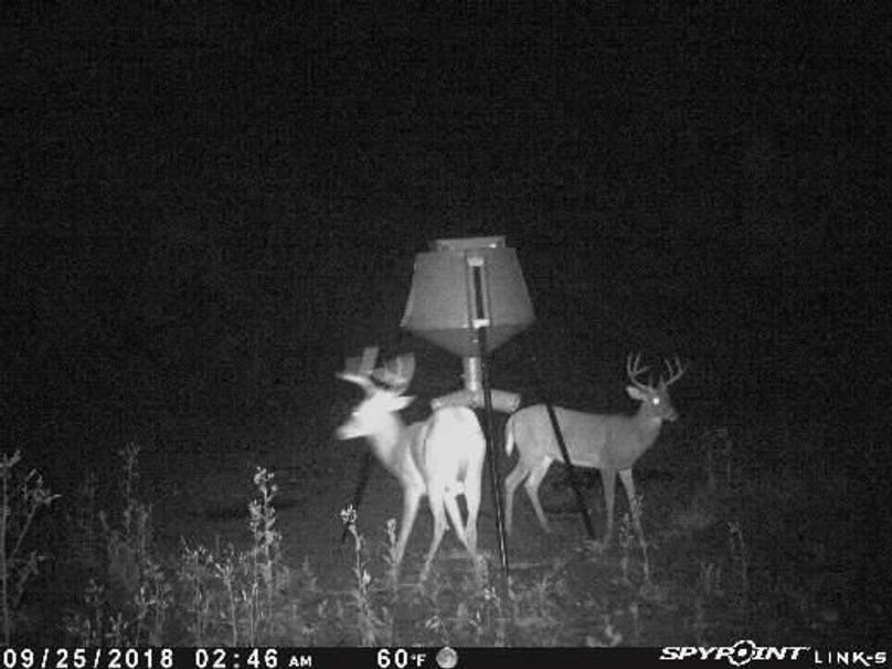 Pict1475 925201840200ambygjy