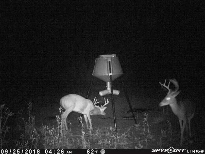 Pict1493 925201860518amszcjf