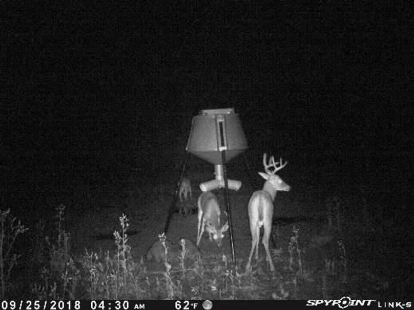 Pict1495 925201860519amhwfjp