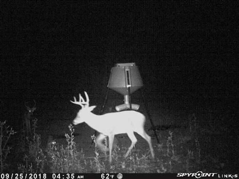 Pict1496 925201860519amggx6v