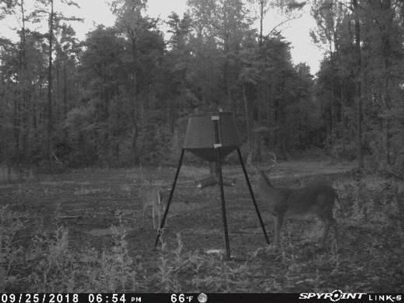 Pict1568 925201880018pmhujk6