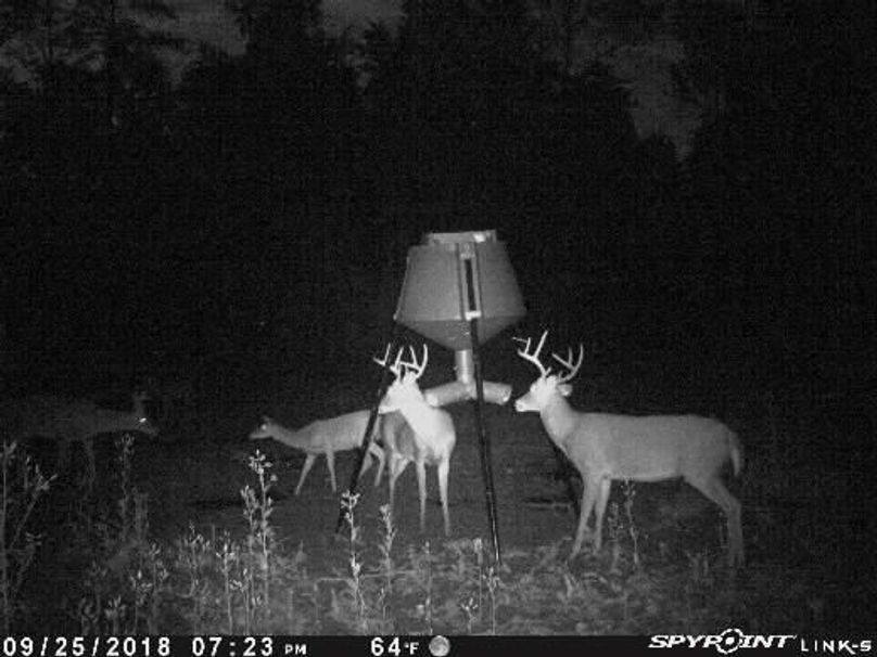 Pict1580 9252018100806pmyhoq7