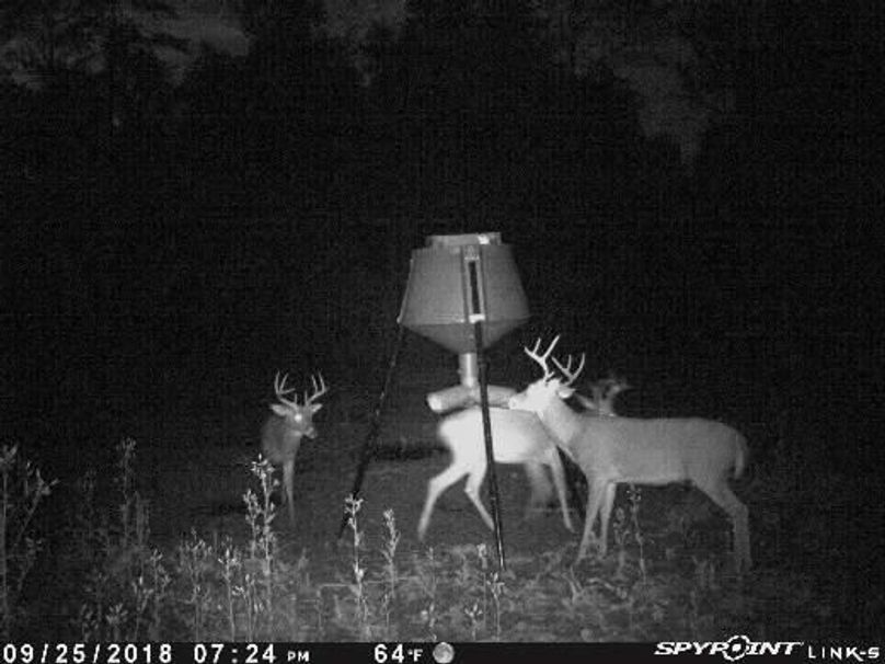 Pict1581 9252018100806pmegstz