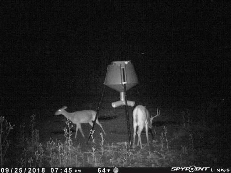 Pict1596 9252018100810pmsngy1