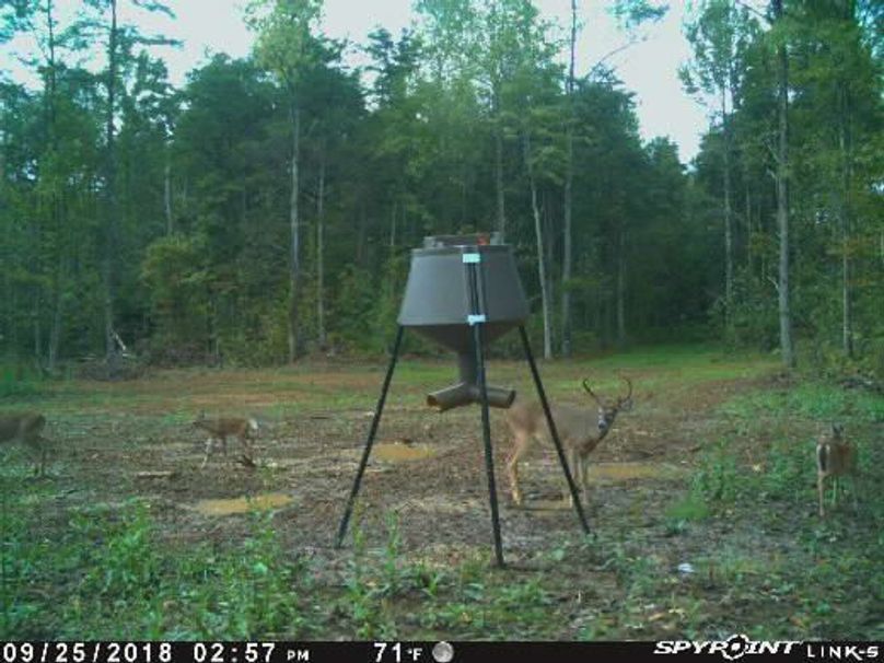 Pict1520 925201840048pmhfm9i