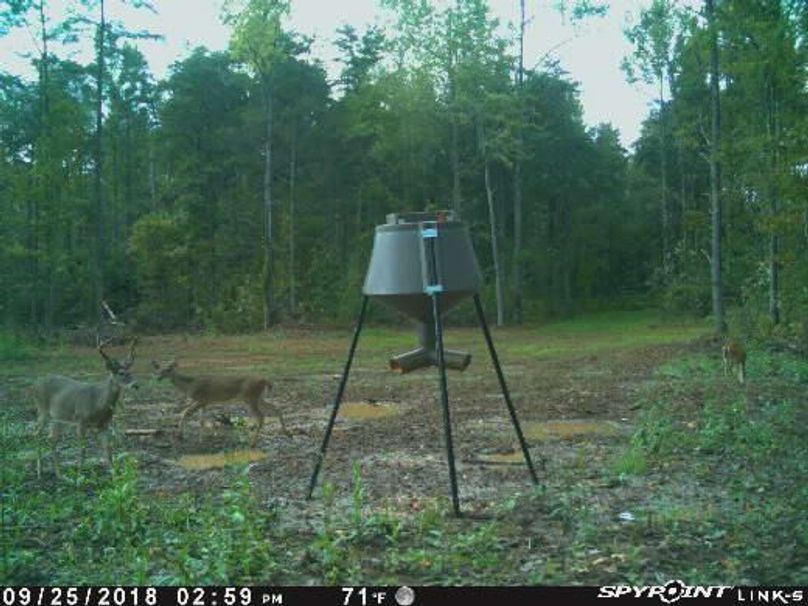 Pict1521 925201840048pmwntul