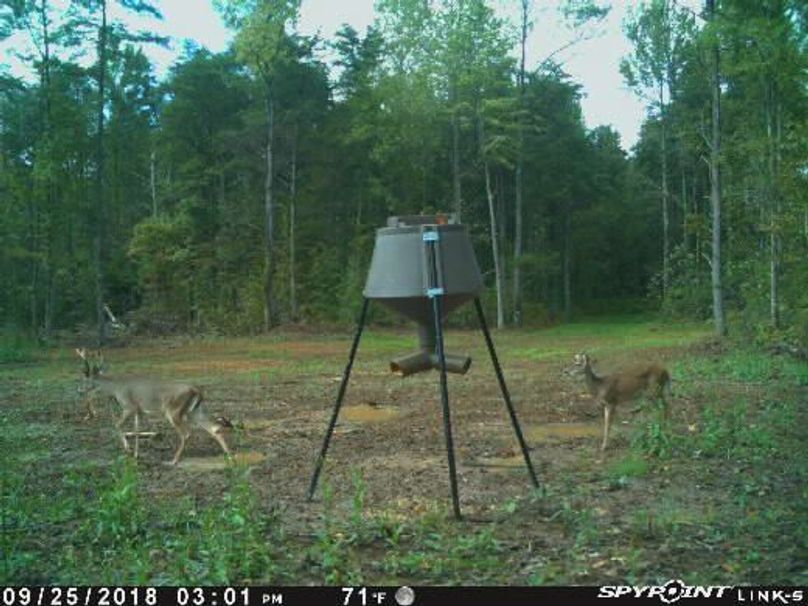 Pict1522 925201860109pme1c3w