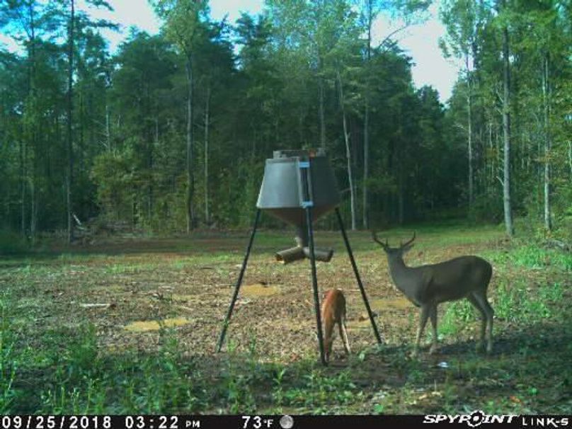 Pict1527 925201860111pmohsxy