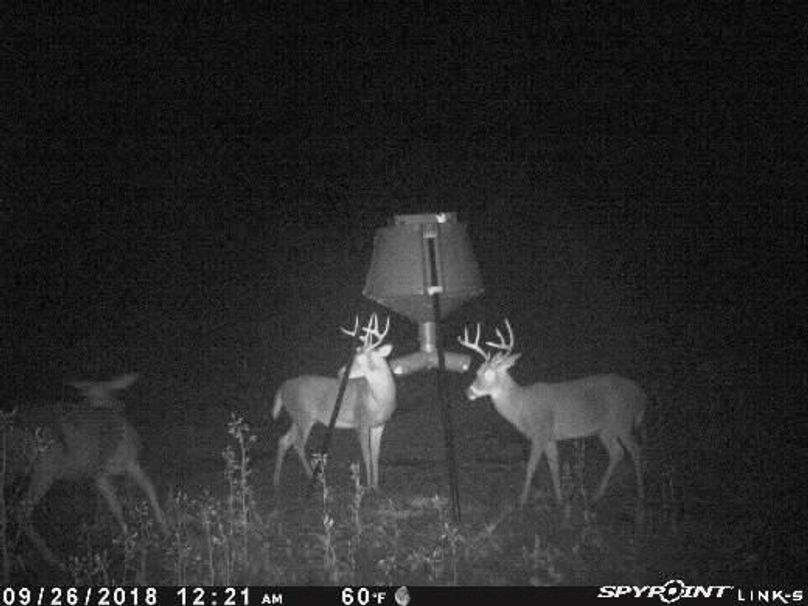 Pict1658 926201820603amom7pw