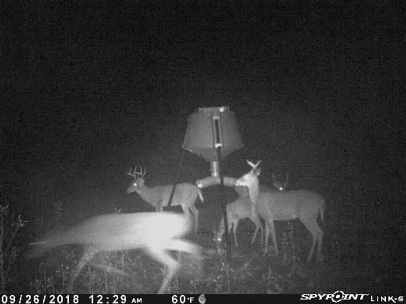 Pict1663 926201820604ammtohq