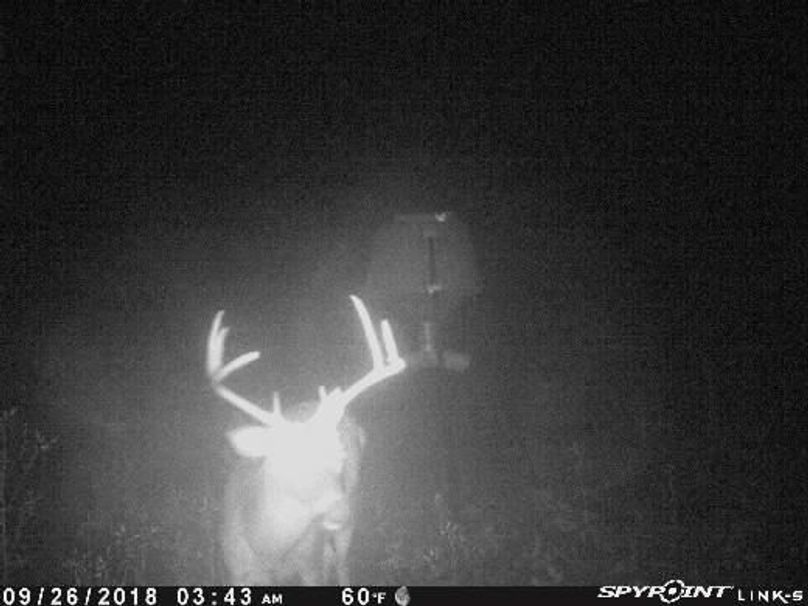 Pict1698 926201860116amdudb8