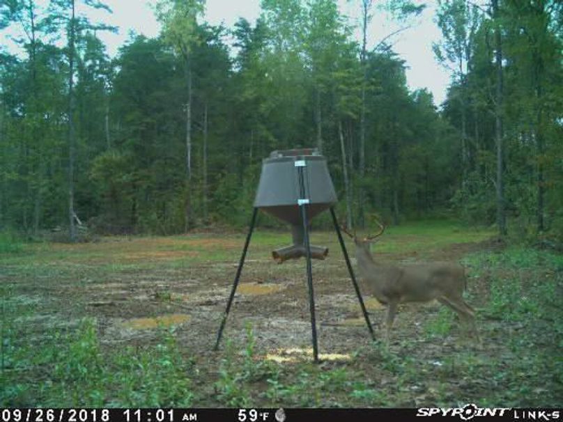 Pict1708 926201820121pmdhayy