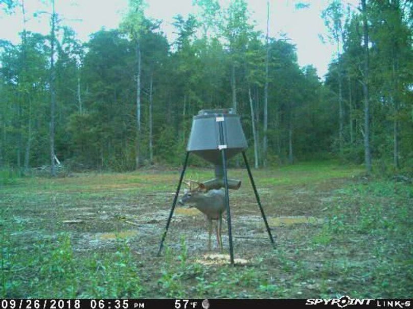 Pict1717 9262018100841pmtwpoh