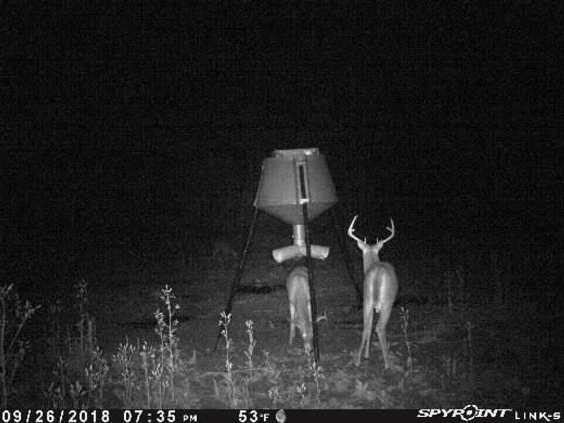 Pict1739 9262018100845pmwlfox