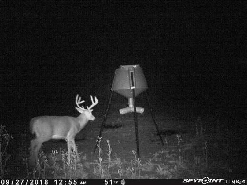 Pict1868 927201820203amw5x6j