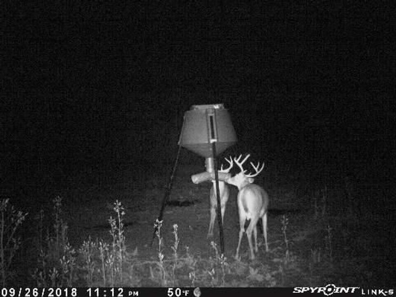 Pict1816 927201821343amvgkdd