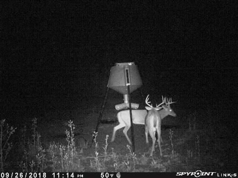 Pict1818 927201821344amf46ww