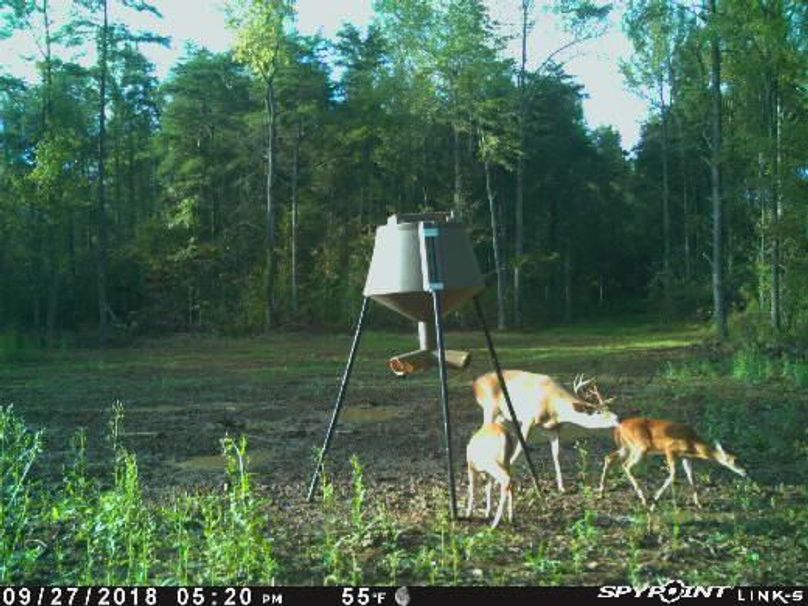 Pict1943 927201881145pmoie5z