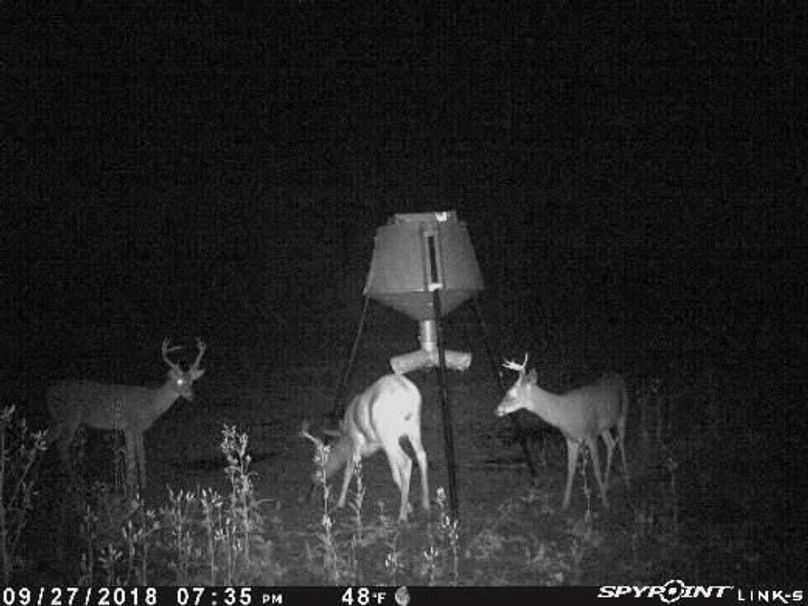 Pict1959 9272018100337pms1qcm