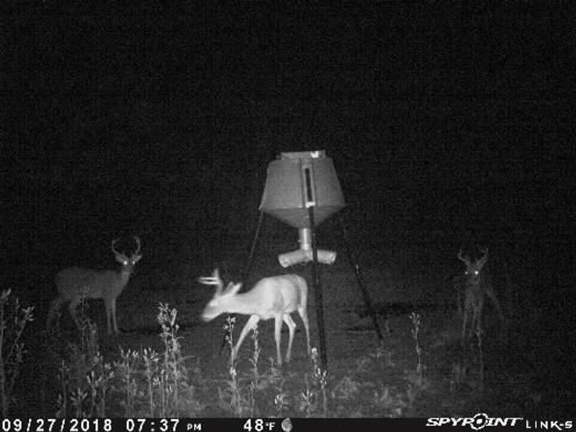 Pict1960 9272018100337pmyxpez