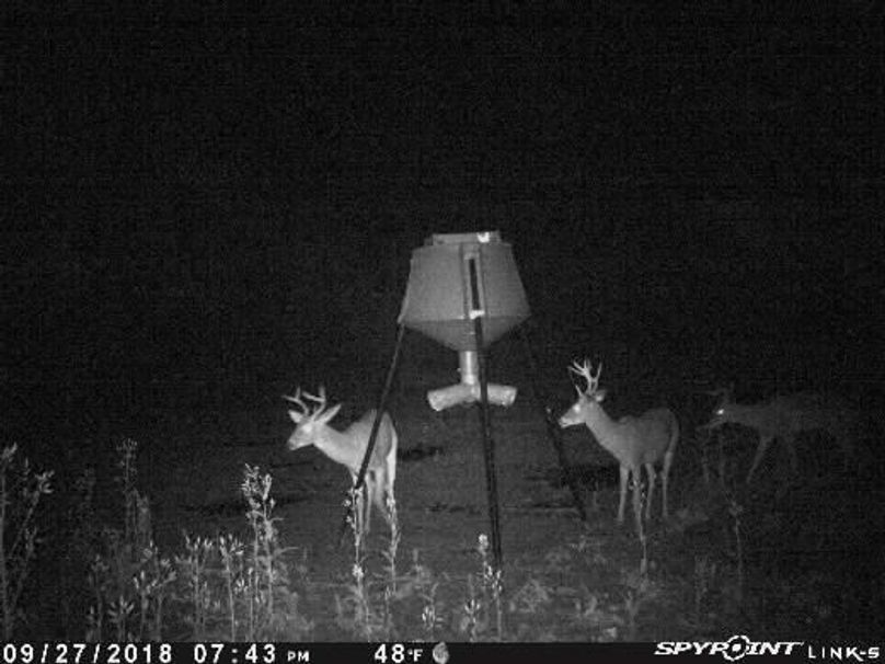 Pict1962 9272018100338pmnoitz