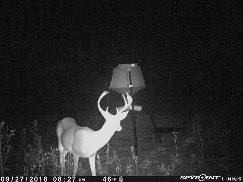 Pict1966 9272018100339pmzh08i