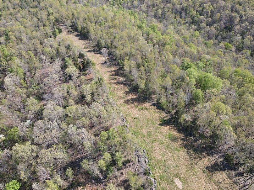 DJI_0308
