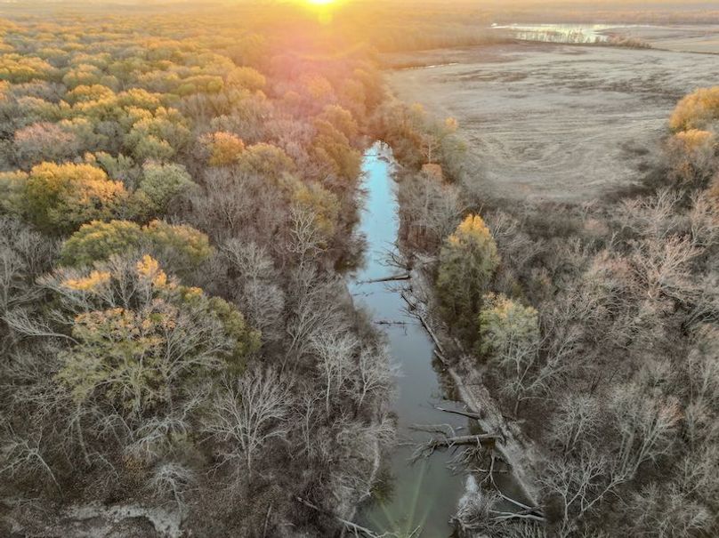 St. Francis 216.9 Calvin Parker Farms Profile -16