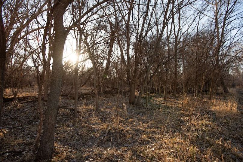 ATCHISON CO MO 56_15