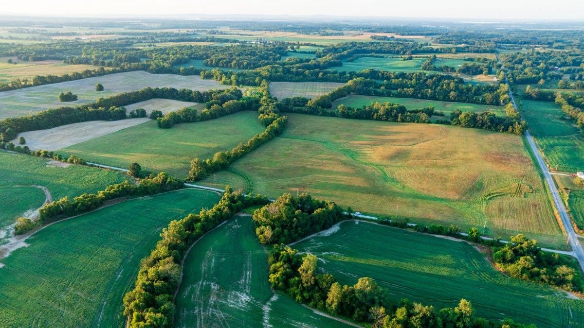 65± Acres Of Tillable And Timber Land In Saline County | Whitetail ...