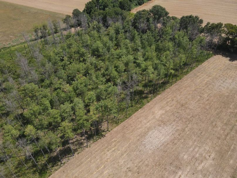 dji_fly_20240825_142310_273_1724613801662_photo