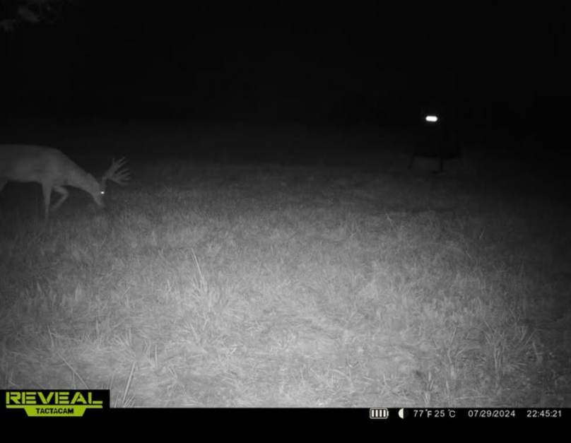 Trail Cam 14