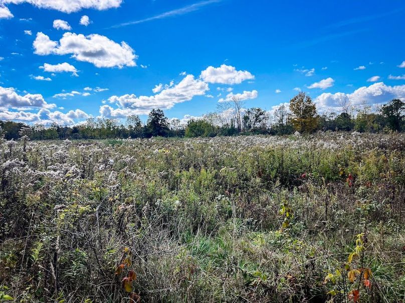 Tompkins_30.32_Hildreth_Estate_Phoros_49