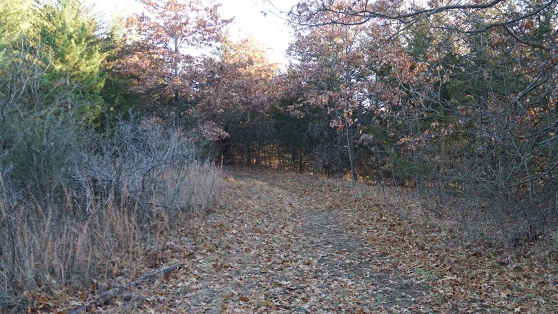 DSC02570