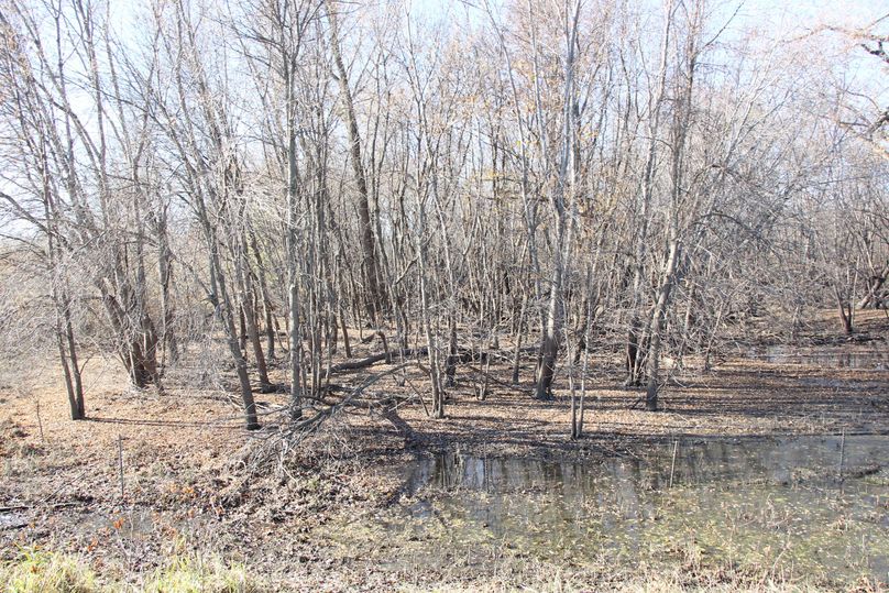 Pic 8 southern property boundary