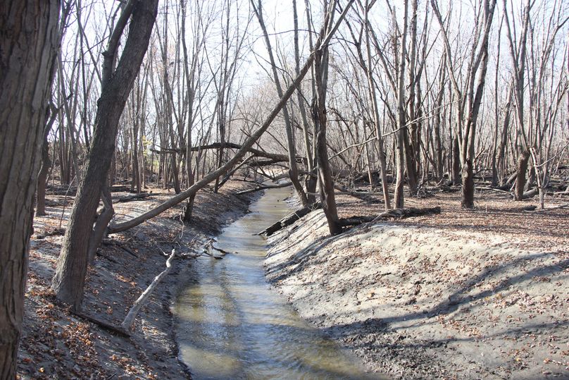 Pic 11 north boundary- paul s creek