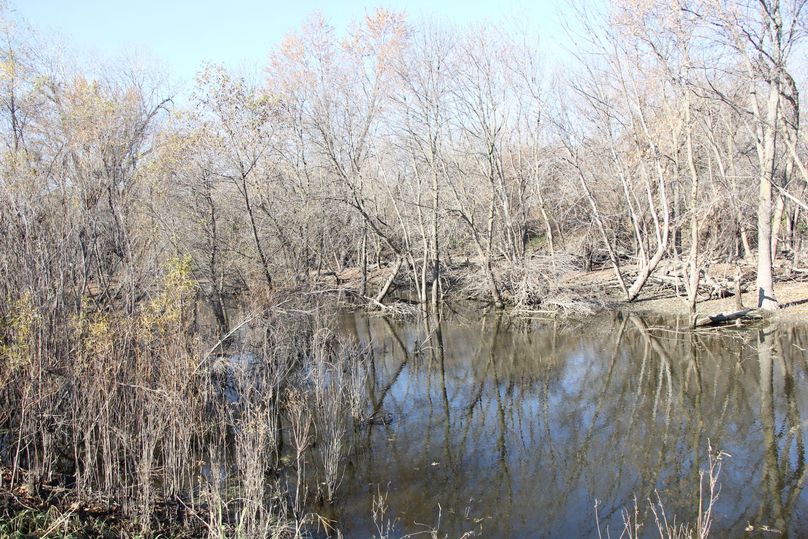 Pic 12 western property boundary