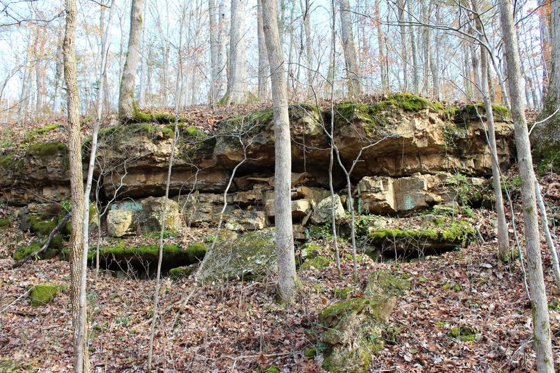 005 limestone rock cliffs outcropping in the center of the property