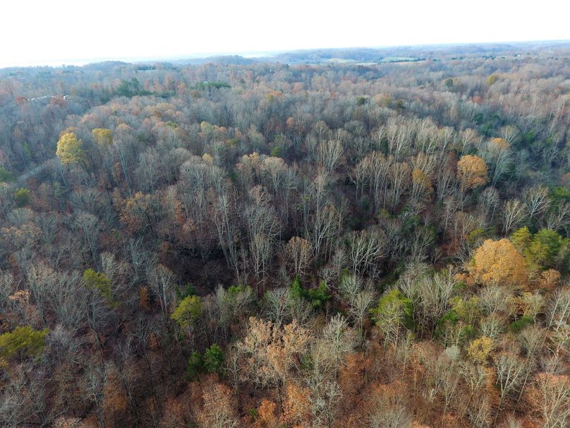 021 drone shot from the center of the property to the south
