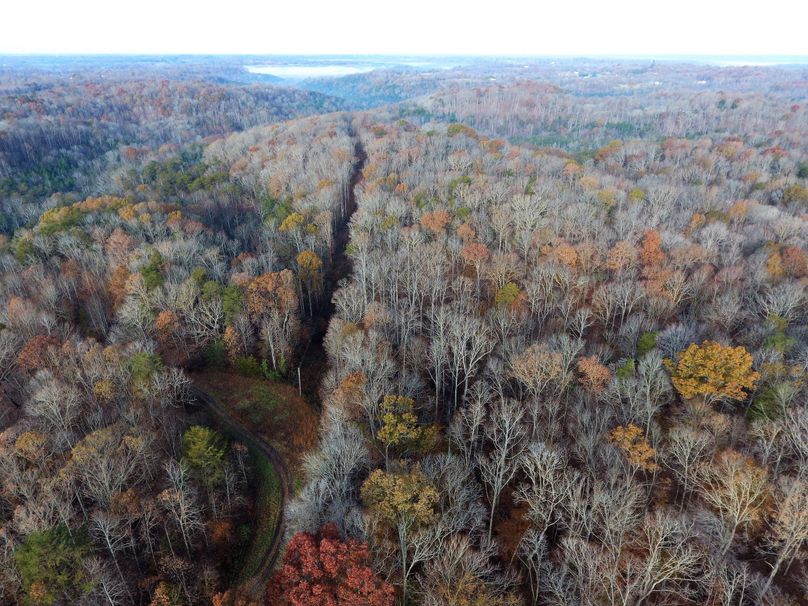 031 drone shot from the east boundary looking to the west,notice the fog over the kentucky river in the distance