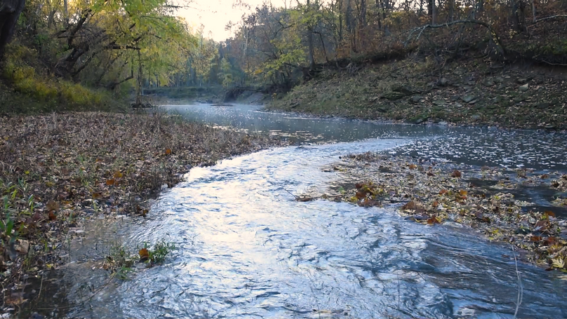   54a middle fork salt river