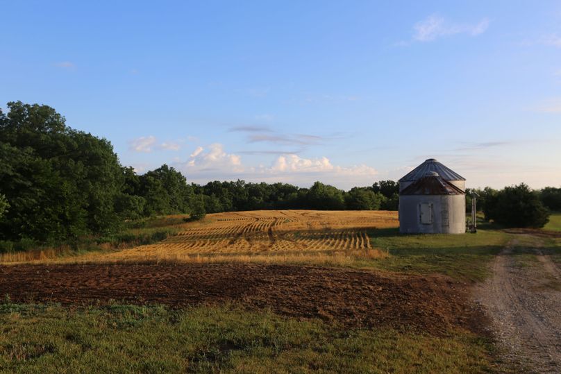 25 field behind house cut wheat