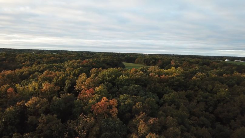 56 view over alfalfa field