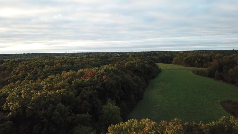 57 view over alfalfa field 2