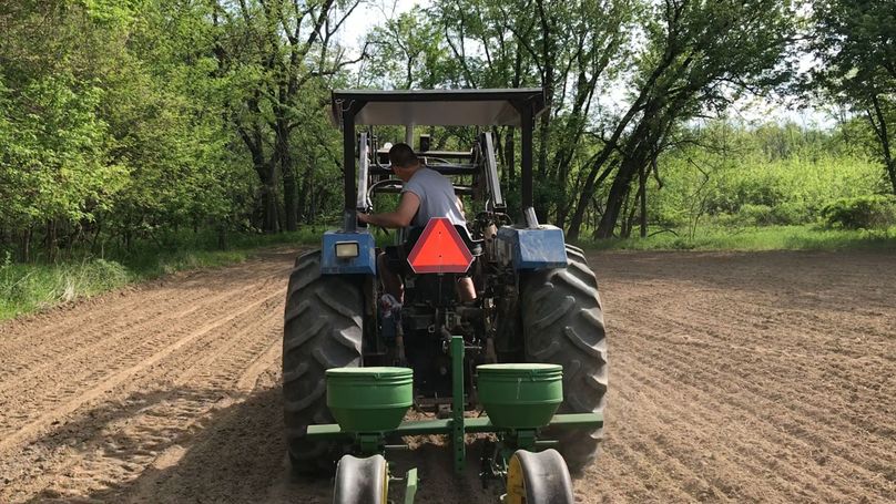 77 planting food plots