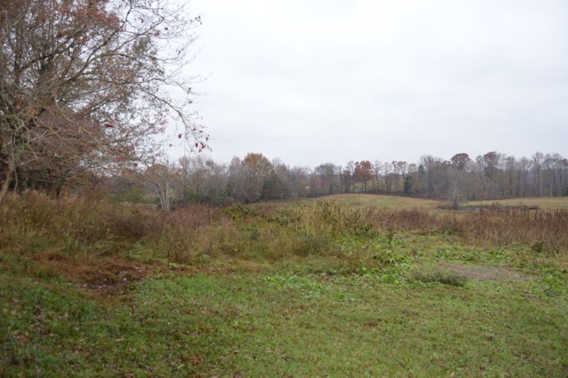 Unadjustednonraw thumb 47ee