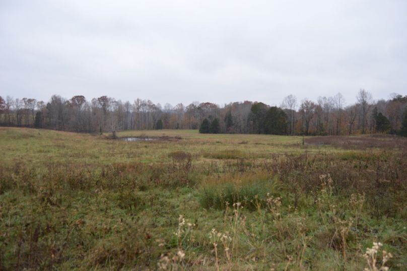 Unadjustednonraw thumb 47ef