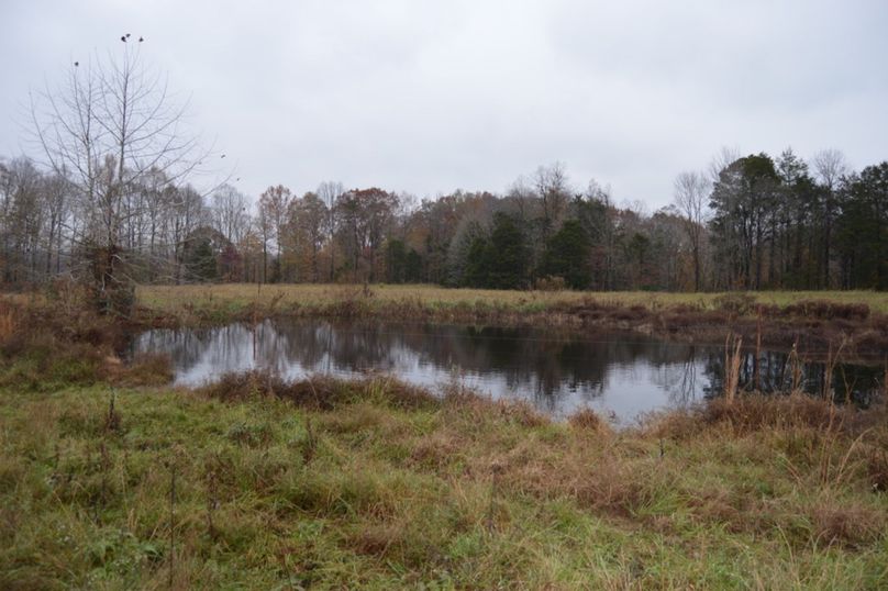 Unadjustednonraw thumb 47f0