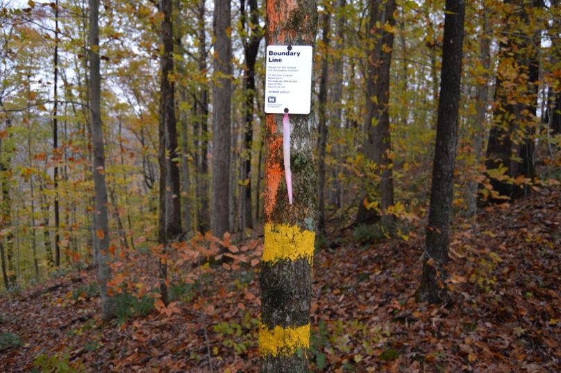 Unadjustednonraw thumb 47f1